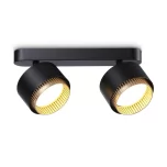 Споты с 2 плафонами